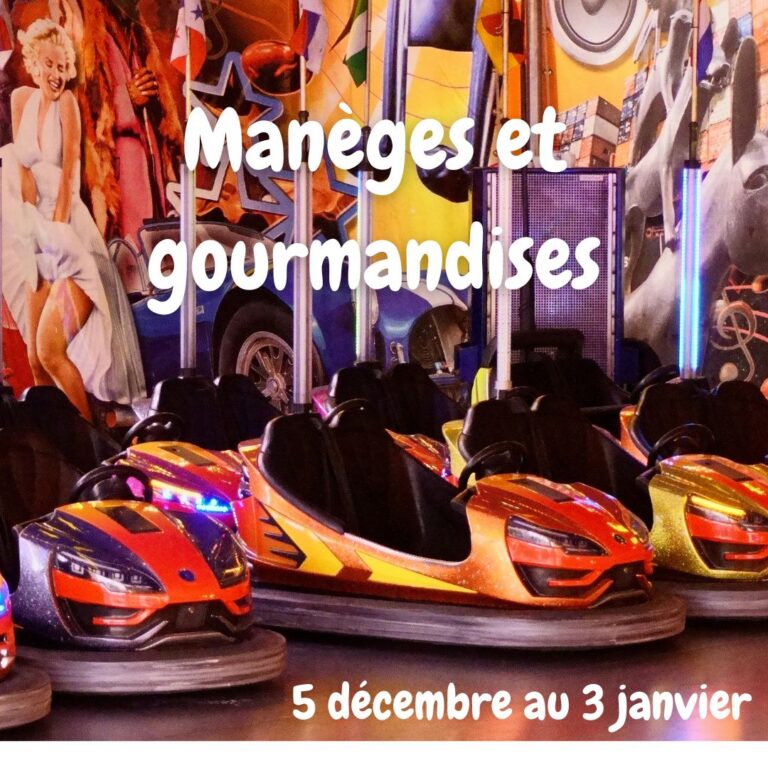 Concours vitrine des commerçants (1)