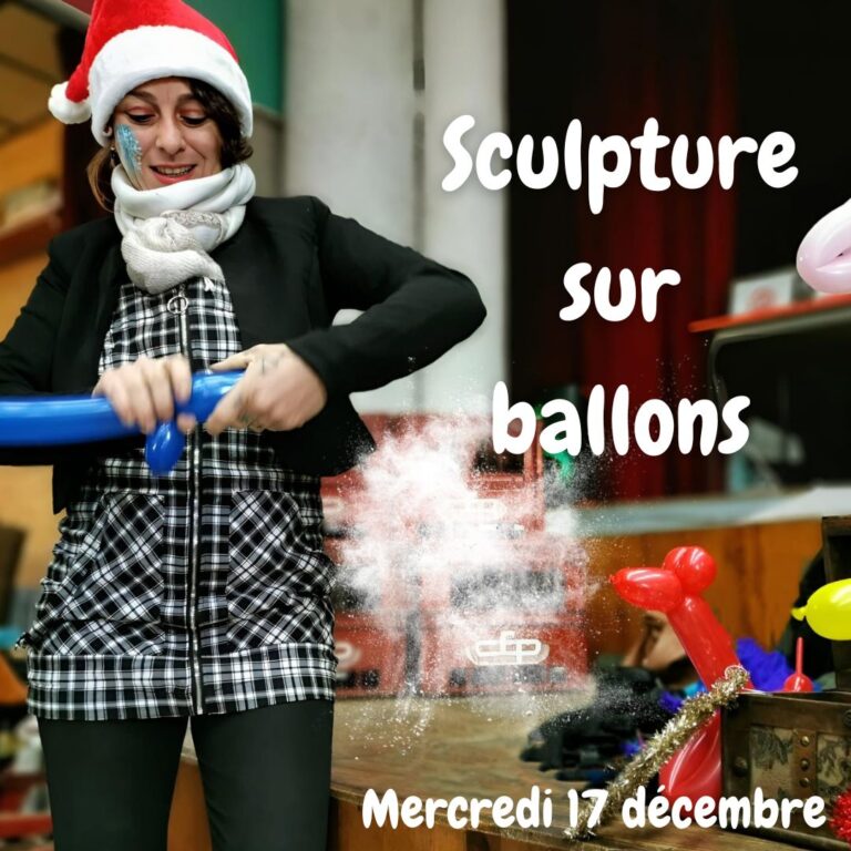 Concours vitrine des commerçants (2)