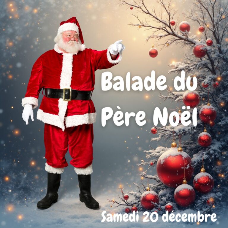 Concours vitrine des commerçants (3)