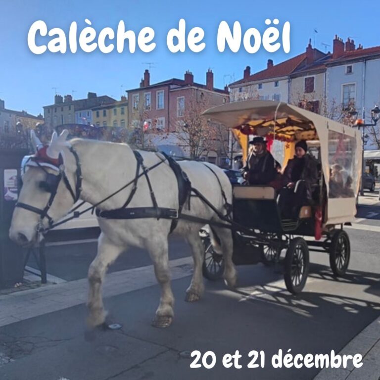 Concours vitrine des commerçants (4)