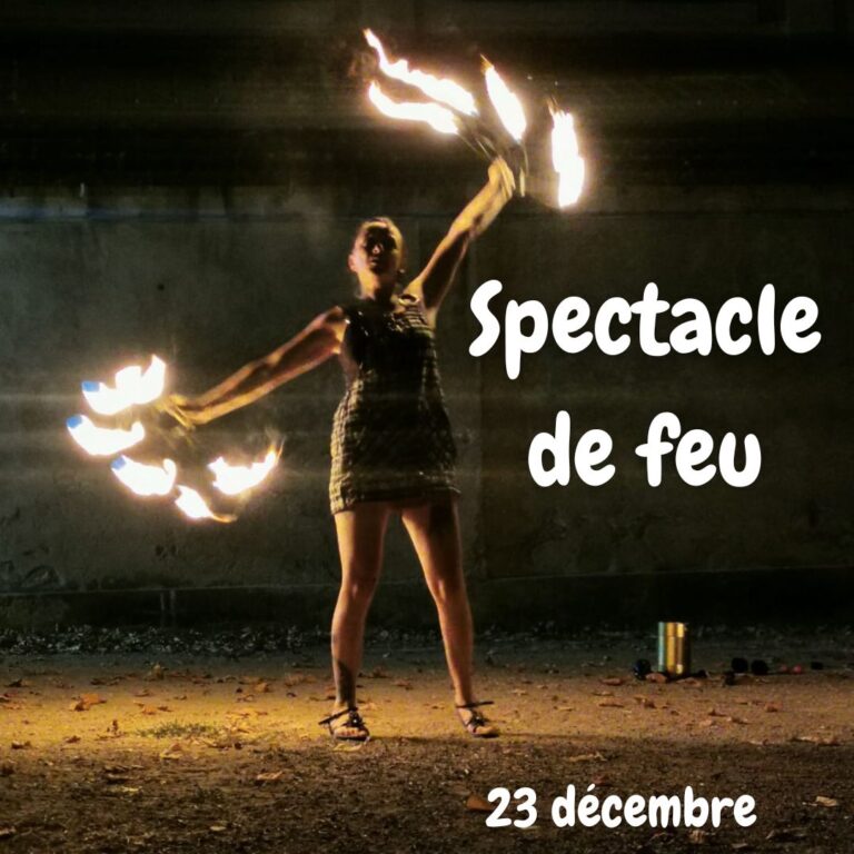 Concours vitrine des commerçants (5)